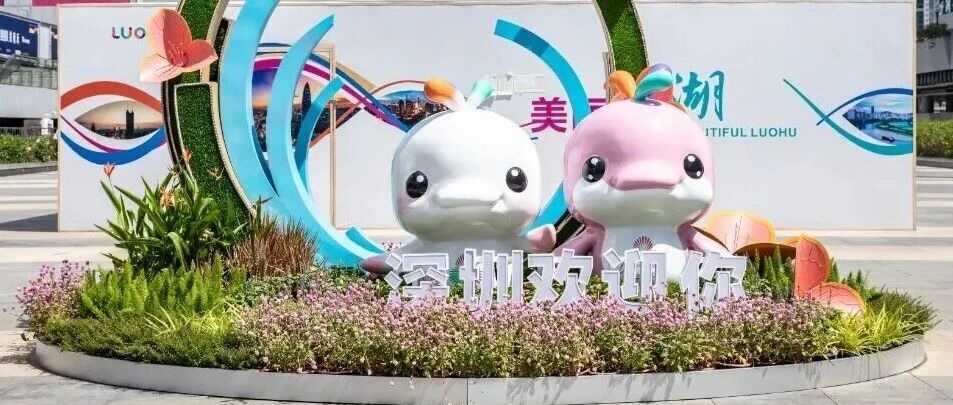 是“大湾鸡”魔法，还是“数字及广告标识”行业新秘籍？